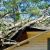 Porterfield Fallen Tree Damage by Flood Pros USA